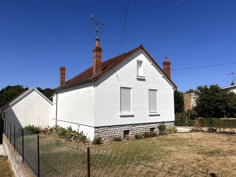 photo no. 8