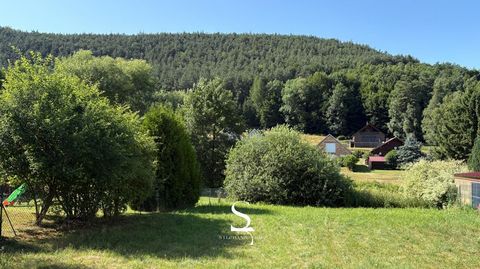 Une pépite nichée au cur des Vosges du Nord ! Terrain à vendre PHILIPPSBOURG (57)