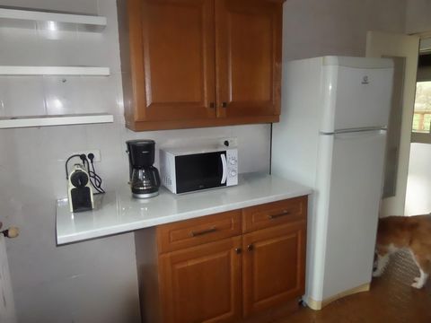 photo no. 11