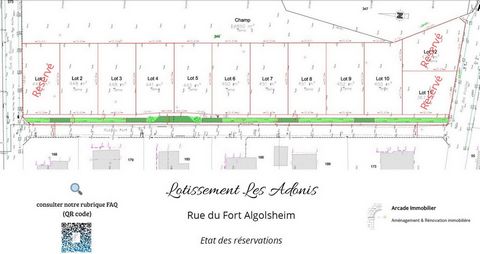 Belles parcelles de terrain Algolsheim