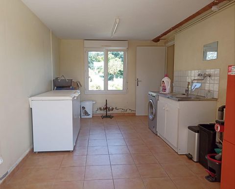 photo no. 12