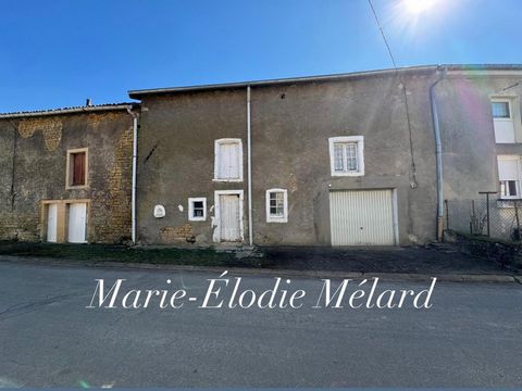 Grange à rénover avec fort potentiel Ville-au-Montois