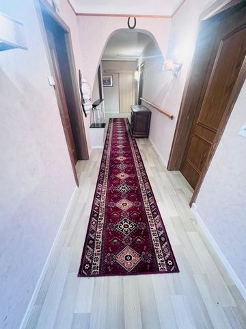 photo no. 8