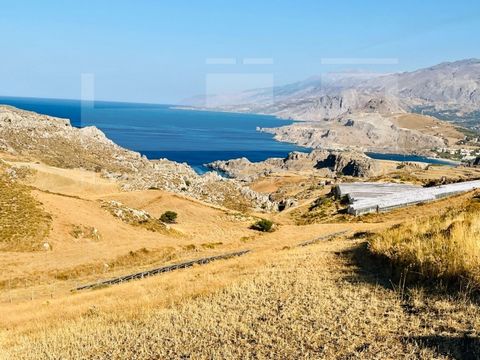 Gelegen in een van de meest verbluffende en opkomende regio's van Zuid-Kreta, biedt dit uitzonderlijke perceel van 6.190,33 m² een zeldzame kans om onroerend goed te bezitten op een werkelijk bevoorrechte locatie. Genesteld in een amfitheaterachtige ...