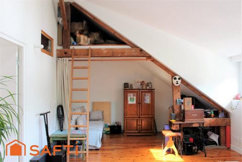 photo no. 8