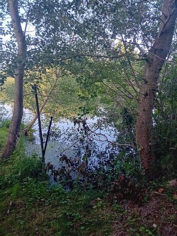 photo no. 14