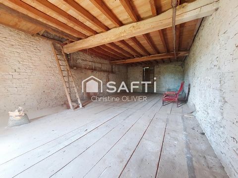 photo no. 7
