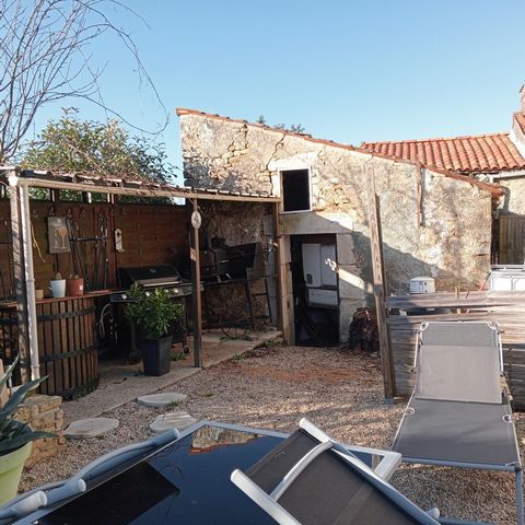 photo no. 14