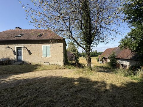 photo no. 4