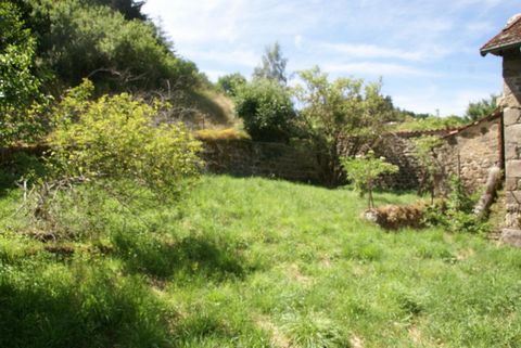photo no. 5