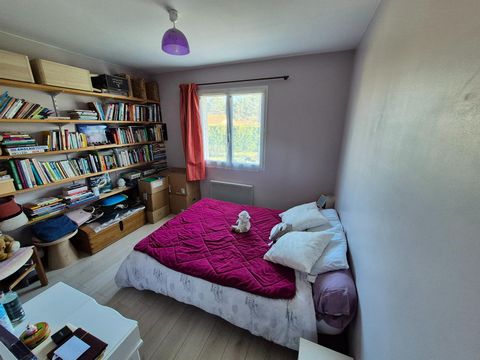 photo no. 8