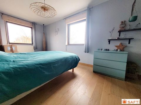photo no. 10