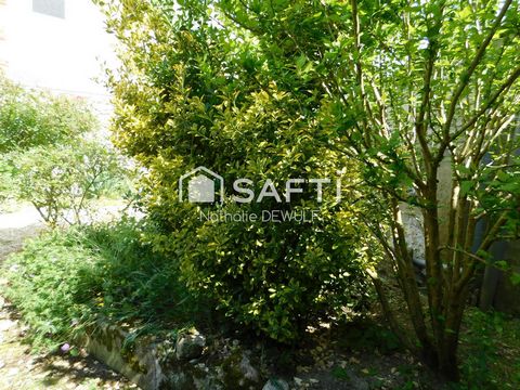 photo no. 15