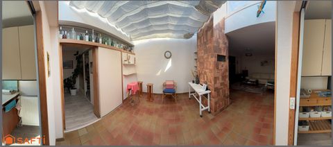 photo no. 10