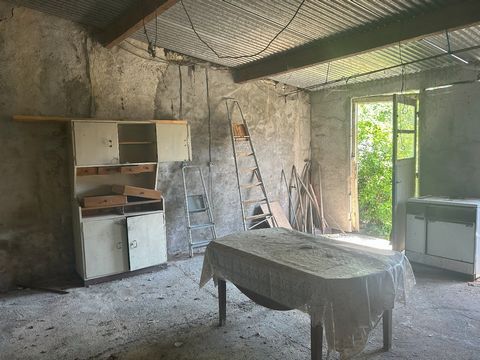 photo no. 10