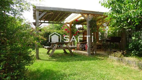 photo no. 10