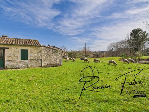Ensemble de 2 logements ou ensemble intergénérationnel sur Maison de pierre avec plus d’un hectare de terrain