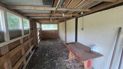 photo no. 15