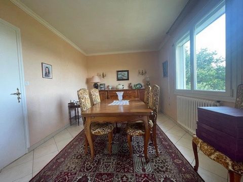 photo no. 6