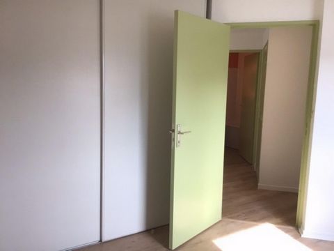 photo no. 6