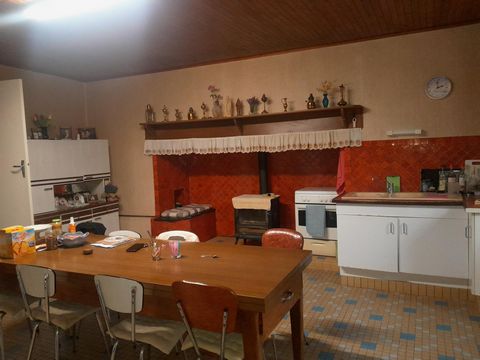 photo no. 5