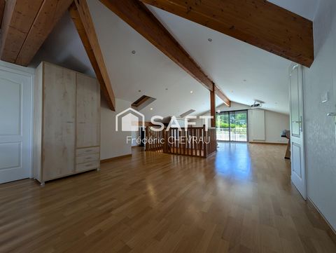 photo no. 13