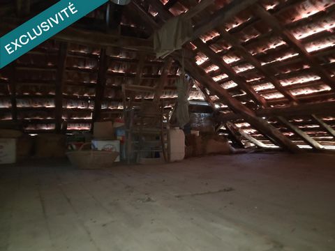 photo no. 10