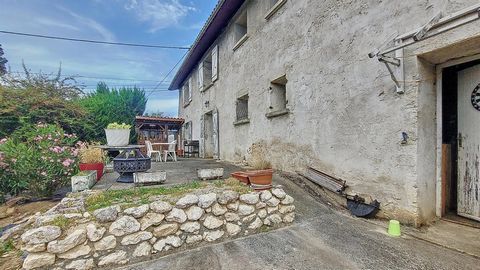photo no. 17