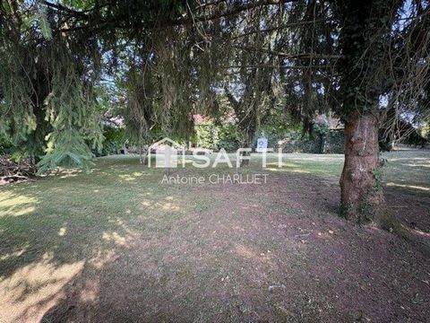 photo no. 10