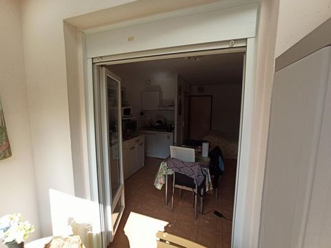 photo no. 8