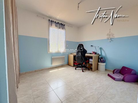 photo no. 12