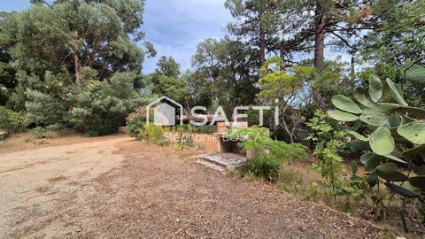 GRANDE MAISON ET JARDIN ARBORÉ AU DÉPART DU GR20 !