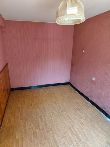 photo no. 14
