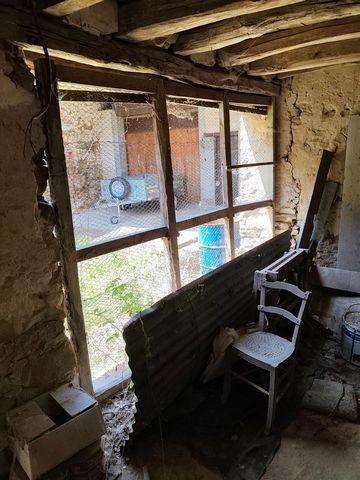 photo no. 18