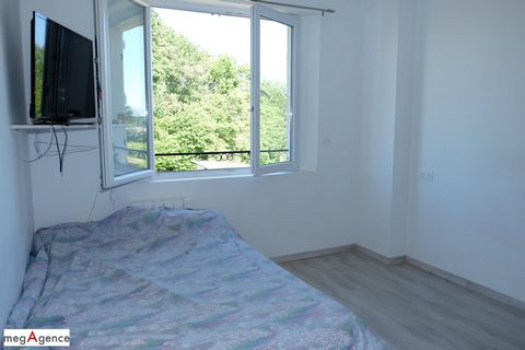 photo no. 10