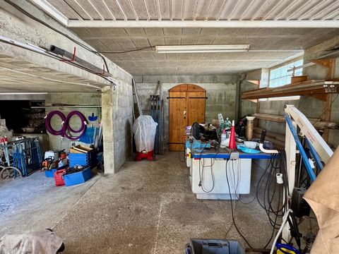 photo no. 12