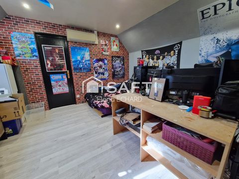 photo no. 11