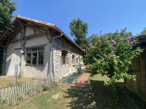 photo no. 14