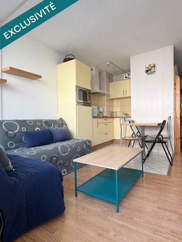 Appartement de type studio aux pieds des pistes