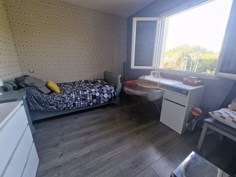 photo no. 13