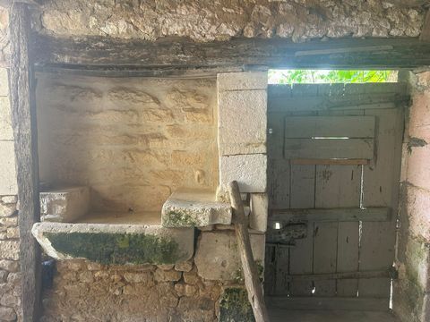 photo no. 18