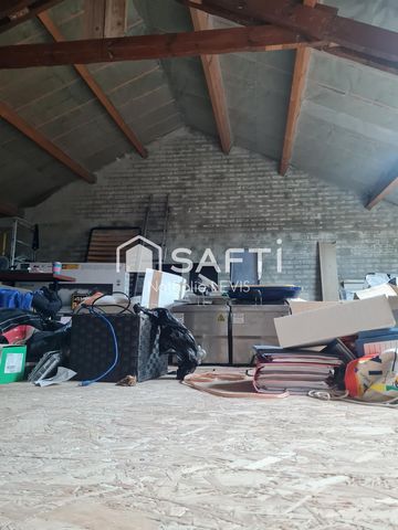photo no. 8