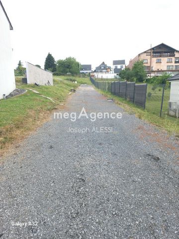photo no. 7