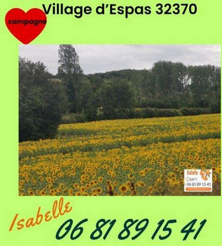 photo no. 7