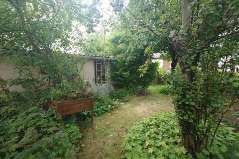 photo no. 12