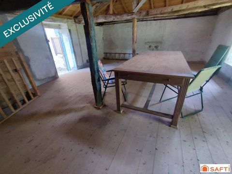 photo no. 12