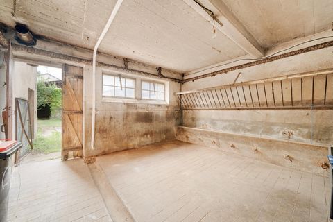 photo no. 12
