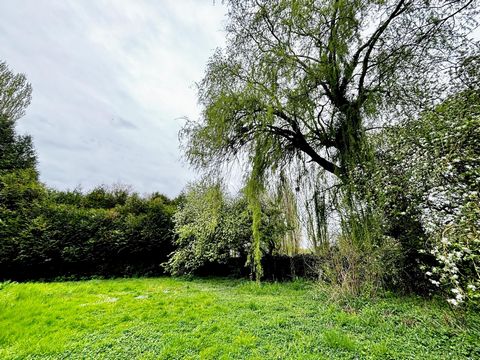 photo no. 15