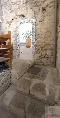 photo no. 16