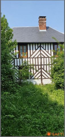 photo no. 7